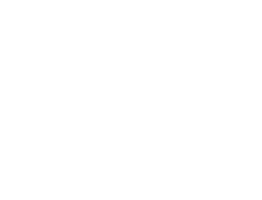 Logo Indexio blanc Agence SEO Le havre